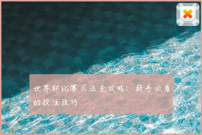 世界杯比赛买法全攻略：新手必看的投注技巧