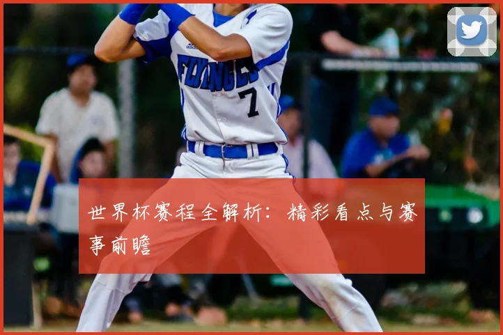 世界杯赛程全解析:精彩看点与赛事前瞻