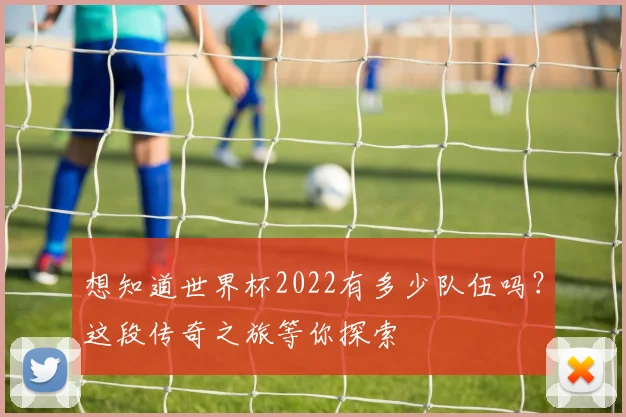 想知道世界杯2022有多少队伍吗？这段传奇之旅等你探索