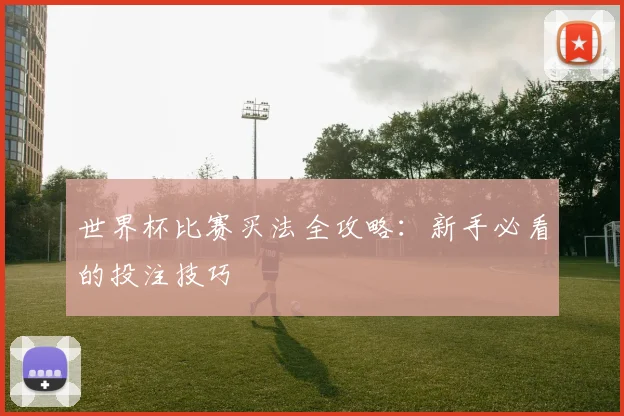 世界杯比赛买法全攻略：新手必看的投注技巧