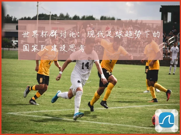 世界杯群讨论:现代足球趋势下的国家队建设思考