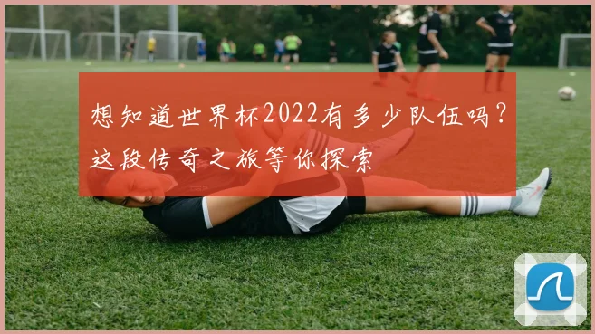 想知道世界杯2022有多少队伍吗？这段传奇之旅等你探索