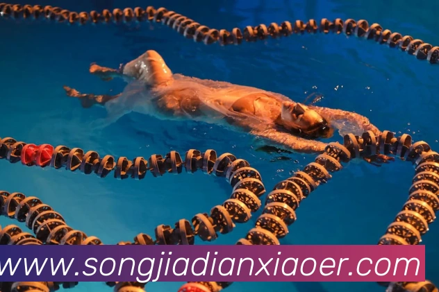 乐竞体育网站首页发展历程